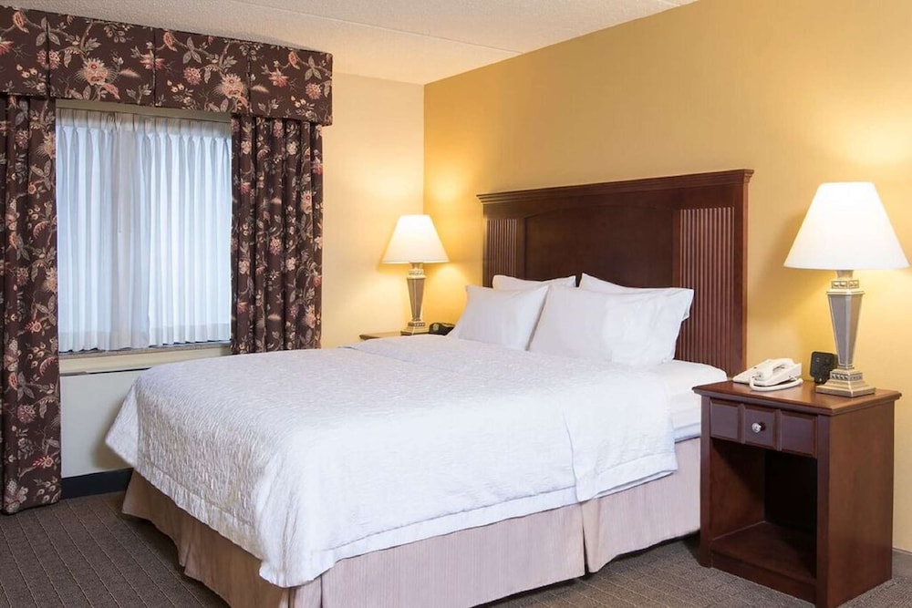 Hampton Inn Schenectady Downtown - photo 8