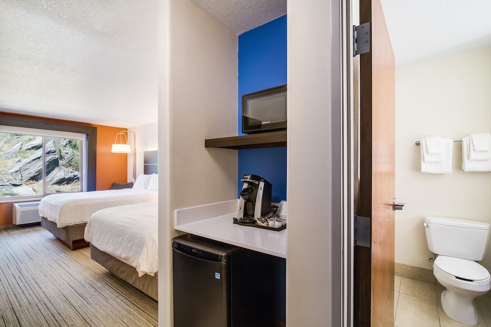 Holiday Inn Express & Suites Custer Mt Rushmore - photo 5