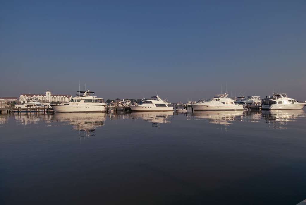 Hyatt Regency Chesapeake Bay - photo 15