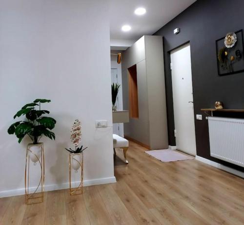 Luxury 2 BR Apartment in Isani