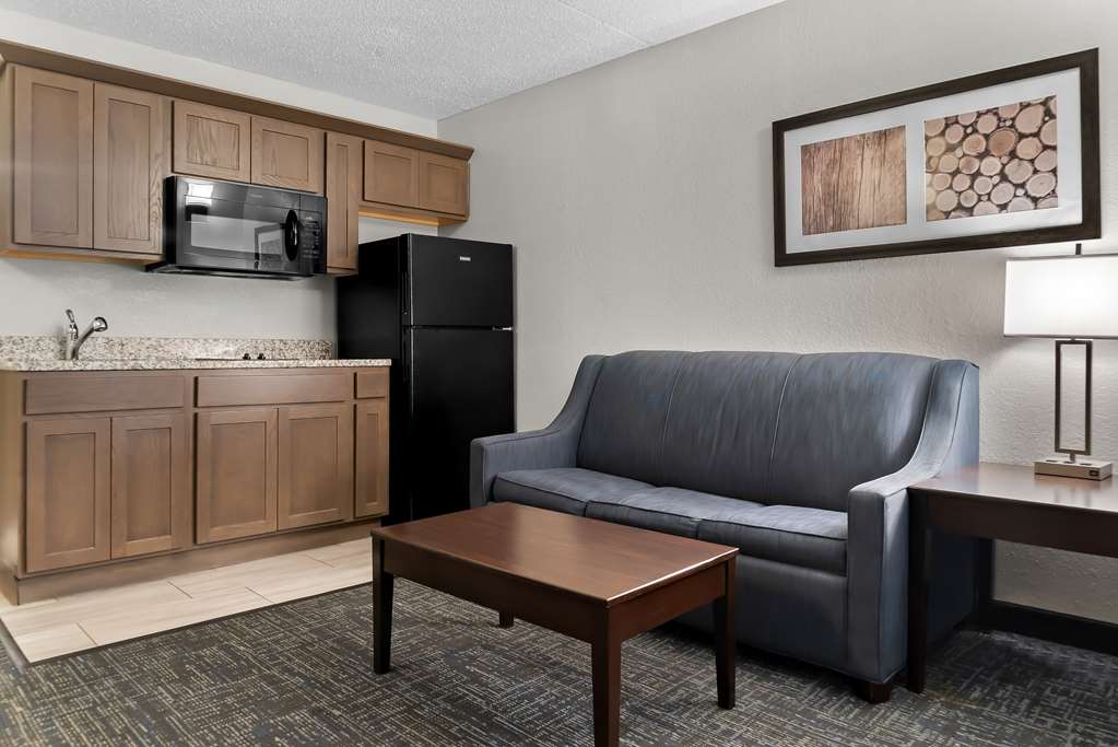 Best Western Plus Flint Airport Inn & Suites - photo 35