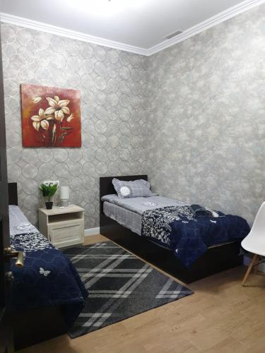 Nova city center apartments