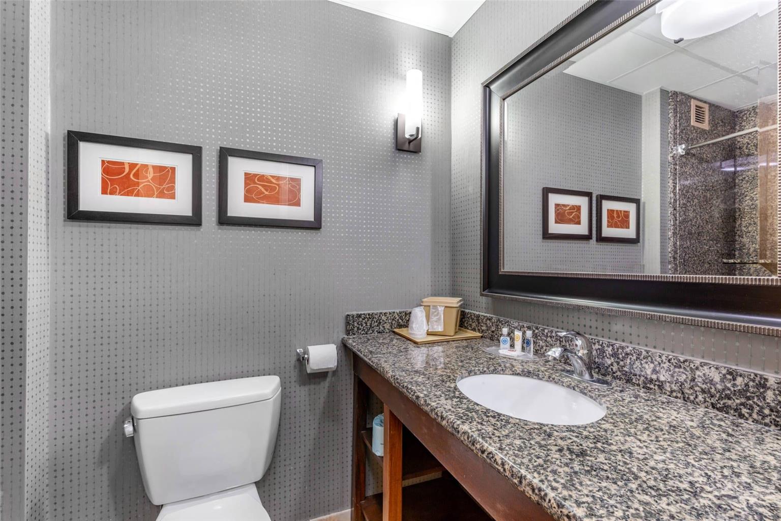 Comfort Suites Smyrna Nashville Area - photo 38