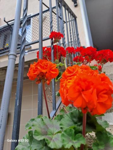 Camelia's Unterkunft - last minute hotel in Unknown City