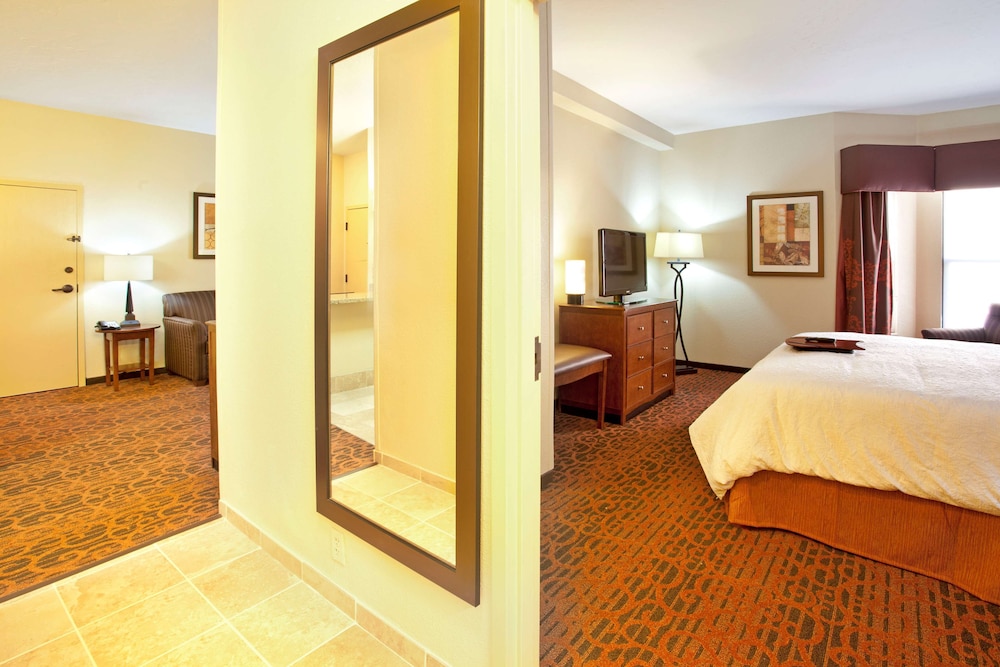 Hampton Inn & Suites El Paso Airport - photo 9