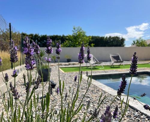 Toupie et Bicyclette — hotel in Charmes-Sur-Rhone