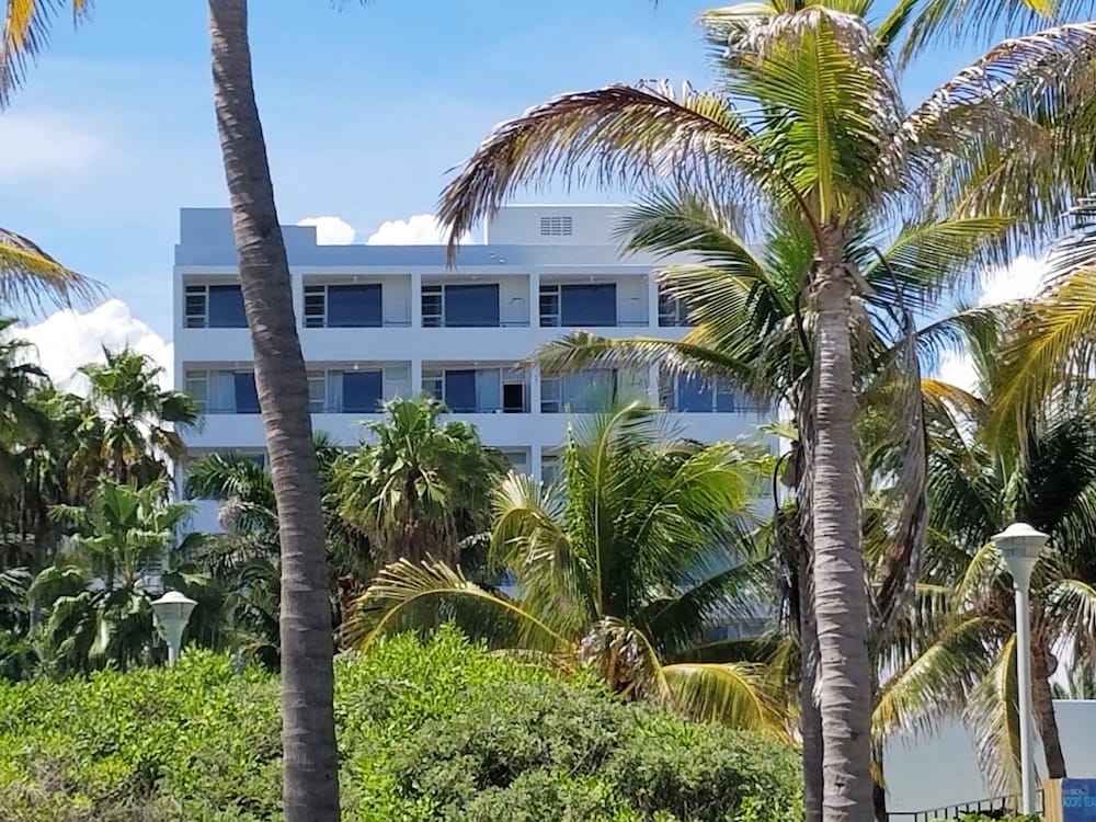 Seagull Hotel Miami Beach - photo 42