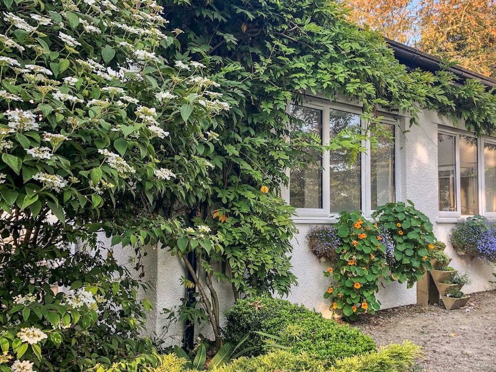 Primrose End in Bude, United Kingdom