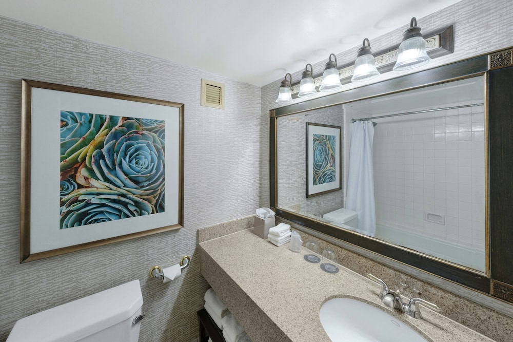 The Westin San Antonio North - photo 8