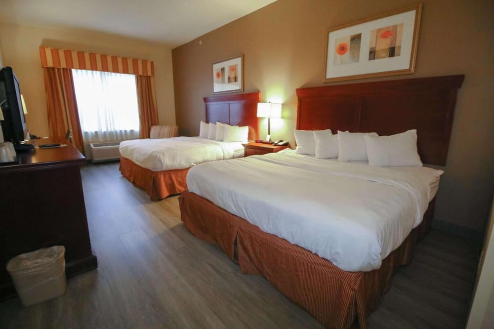 Seffner Inn and Suites - photo 24