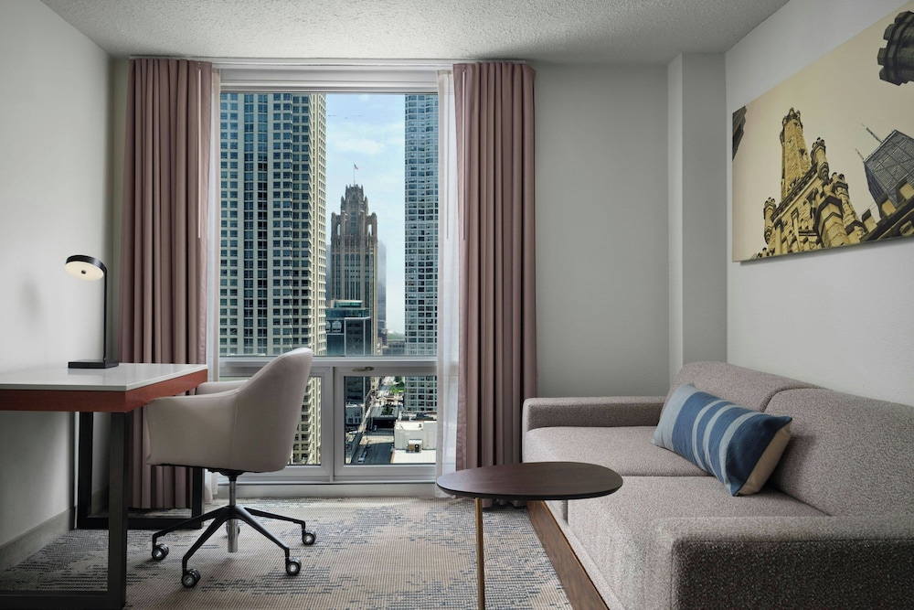 Springhill Suites by Marriott Chicago Downtown River North - photo 46