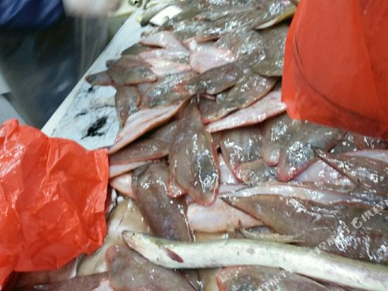 Old Know Resident in Caiyuan, People's Republic of China