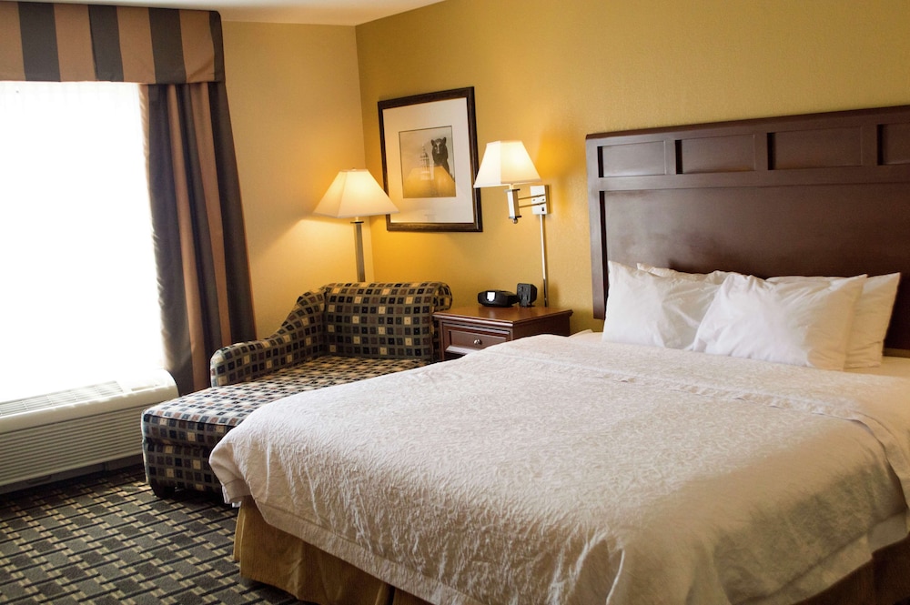 Hampton Inn & Suites Columbia at University - photo 6