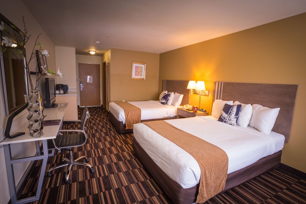 Inn at Wecoma - photo 15