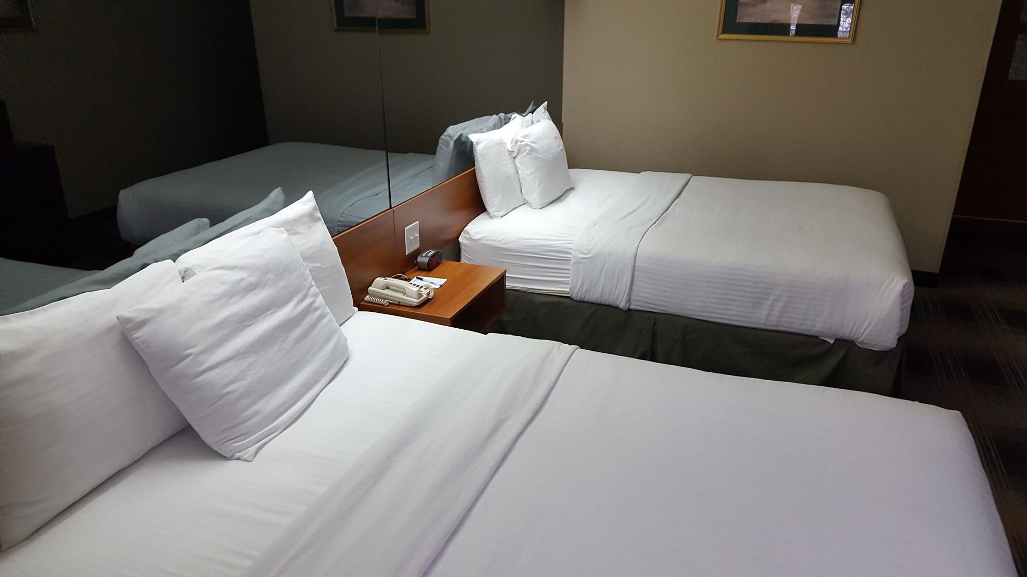 Microtel Inn & Suites by Wyndham Bozeman - photo 13