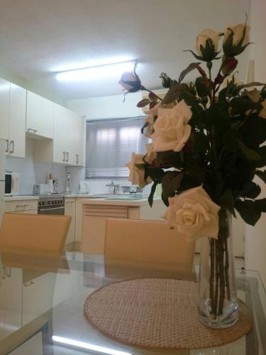 Theodoros Apt. 408