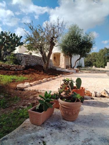 Trullo Amedee - last minute hotel in Ostuni