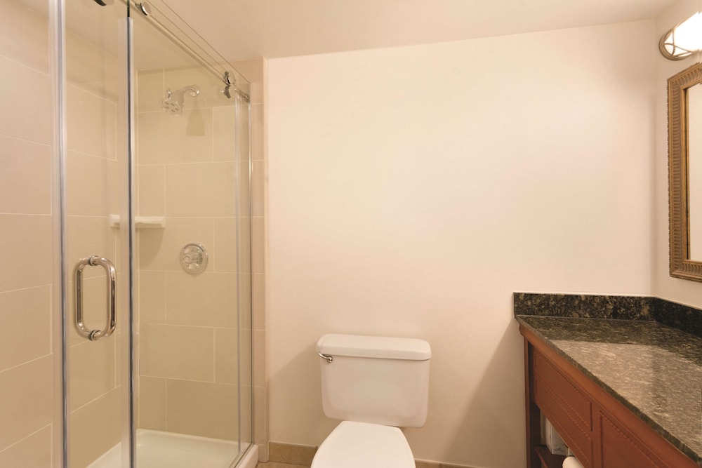 Embassy Suites Greenville Golf Resort & Conference Center - photo 20