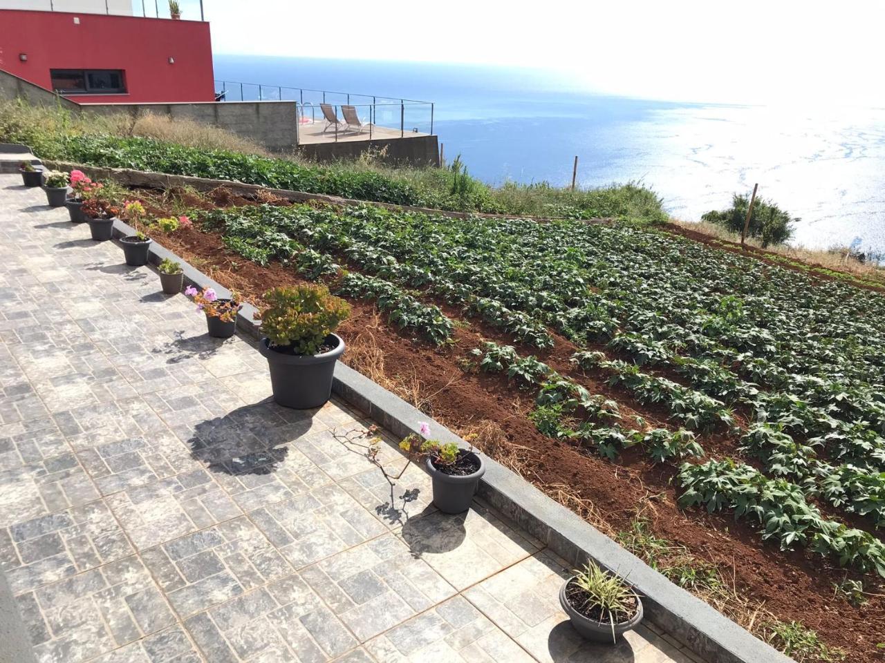 Palheirinho da Achada — Arco Da Calheta — photo 4