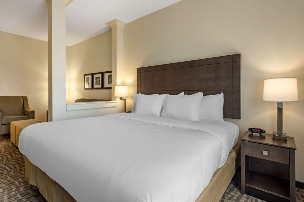 Comfort Inn & Suites Pittsburgh Northshore - photo 20
