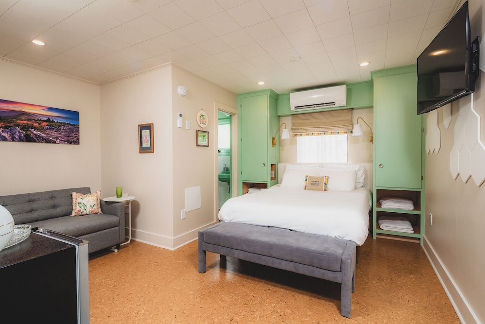 Blue Ridge Tourist Court - photo 62