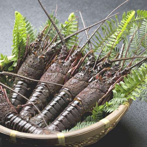 Kaneyoshi Ittouan in Shizuoka, Japan