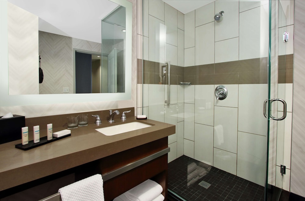 Embassy Suites By Hilton Pittsburgh Downtown - photo 36