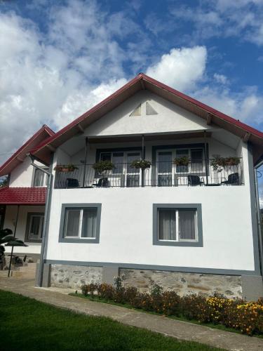 Floare de colt in Arefu, Romania