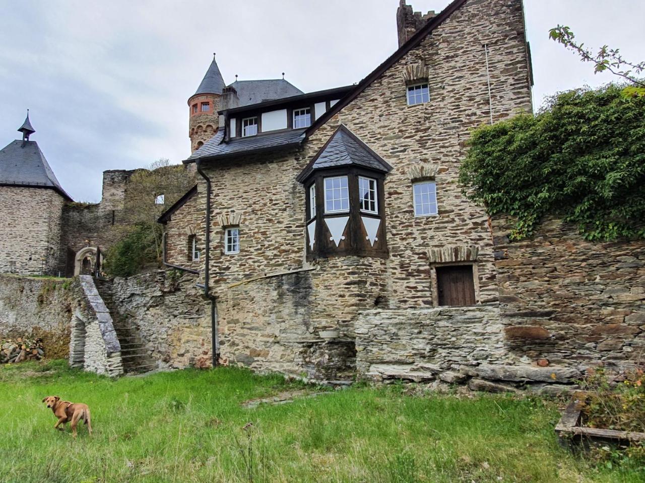 Wachterhaus Auf Der Sauerburg — Lorch — photo 4