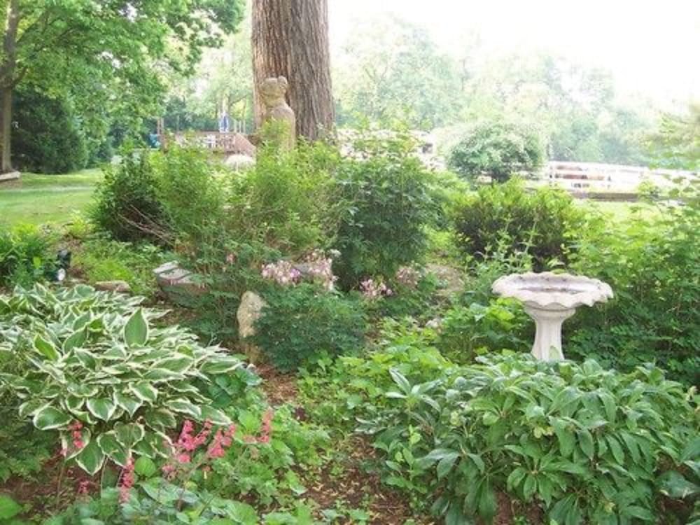 Fallen Tree Farm Bed & Breakfast - photo 41