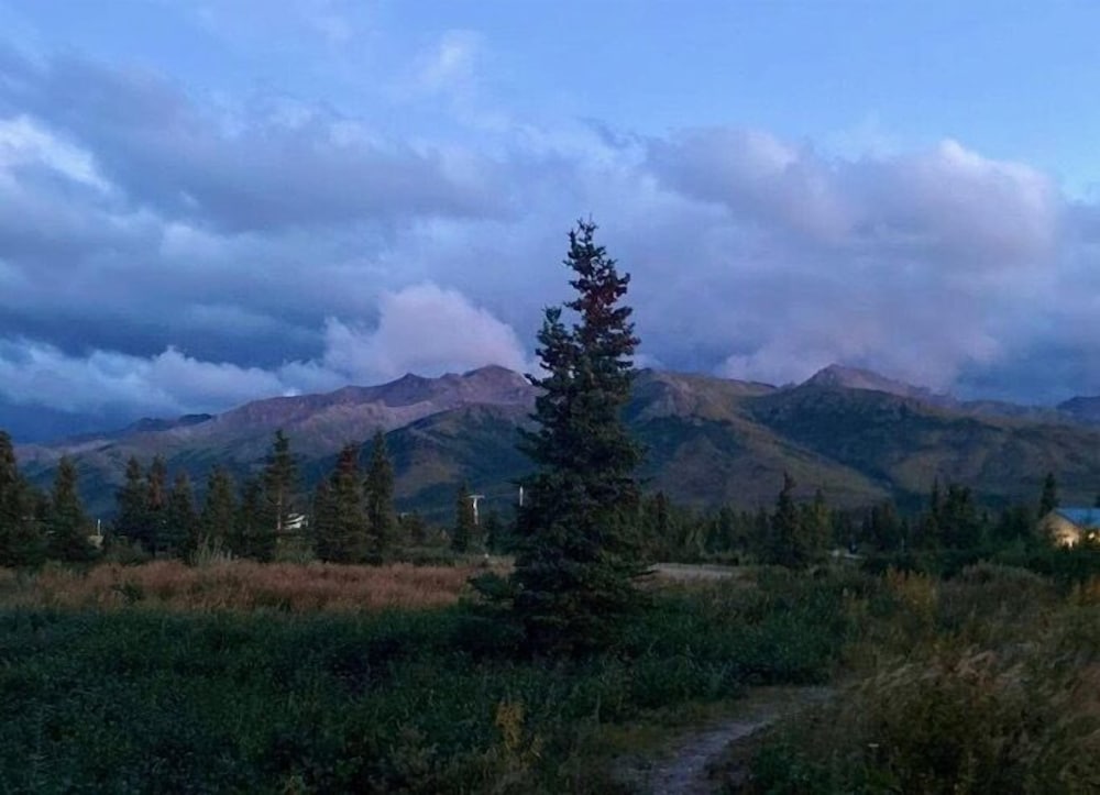 Denali Park Hotel - photo 40