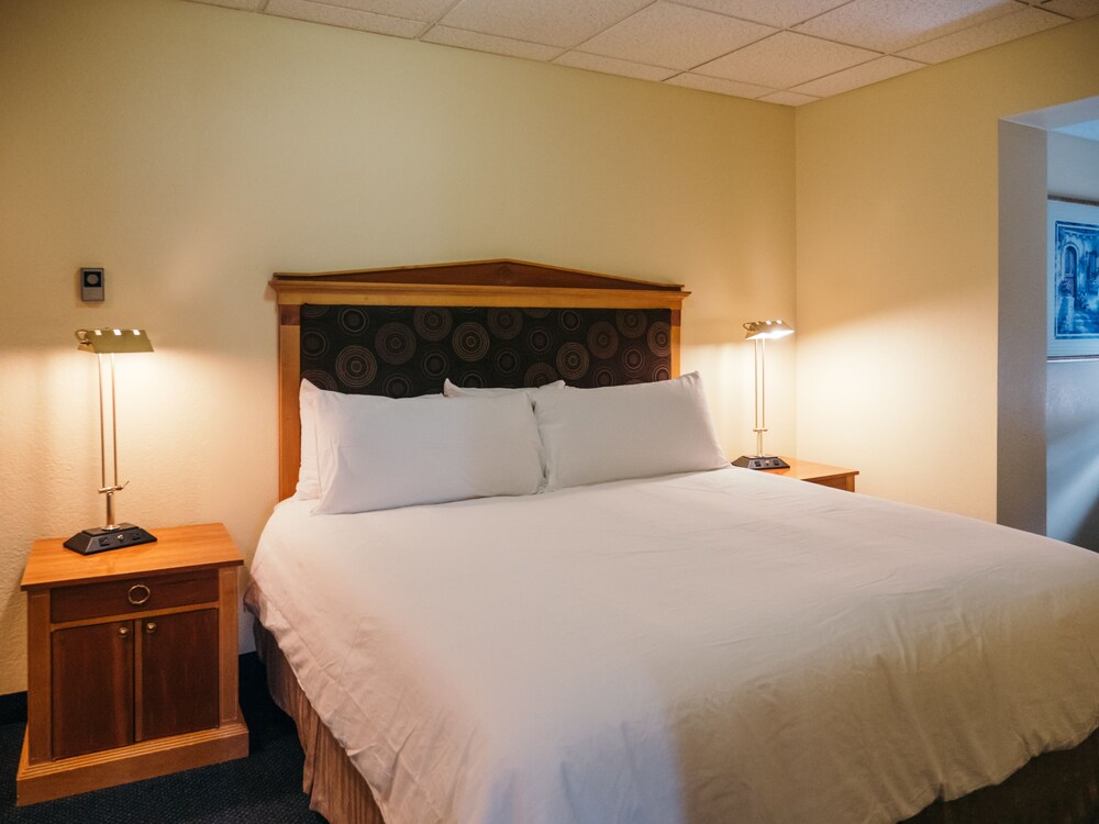 Adventure Inn - photo 14