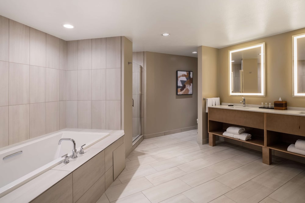 Embassy Suites by Hilton Albuquerque - photo 30