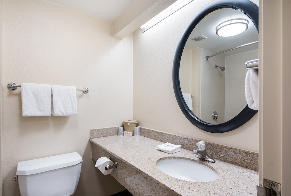 Red Roof Inn Laredo - photo 25
