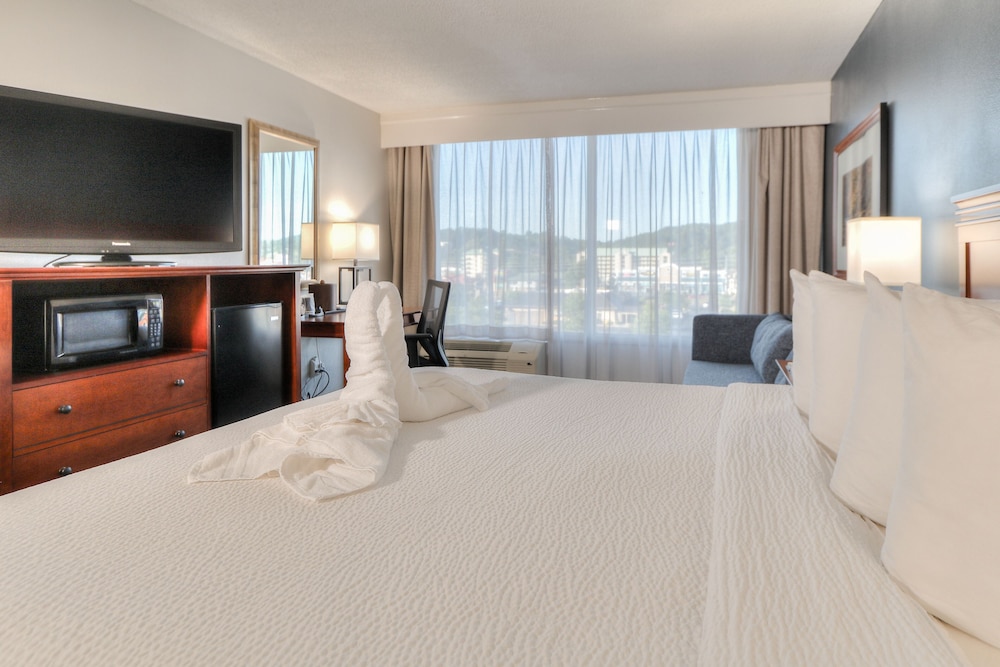 The Ramsey Hotel & Convention Center - photo 16