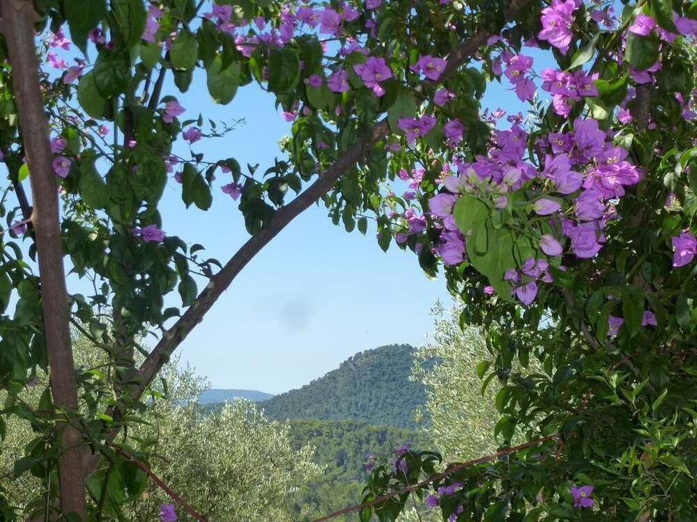 L'Origane - last minute hotel in L'escarene