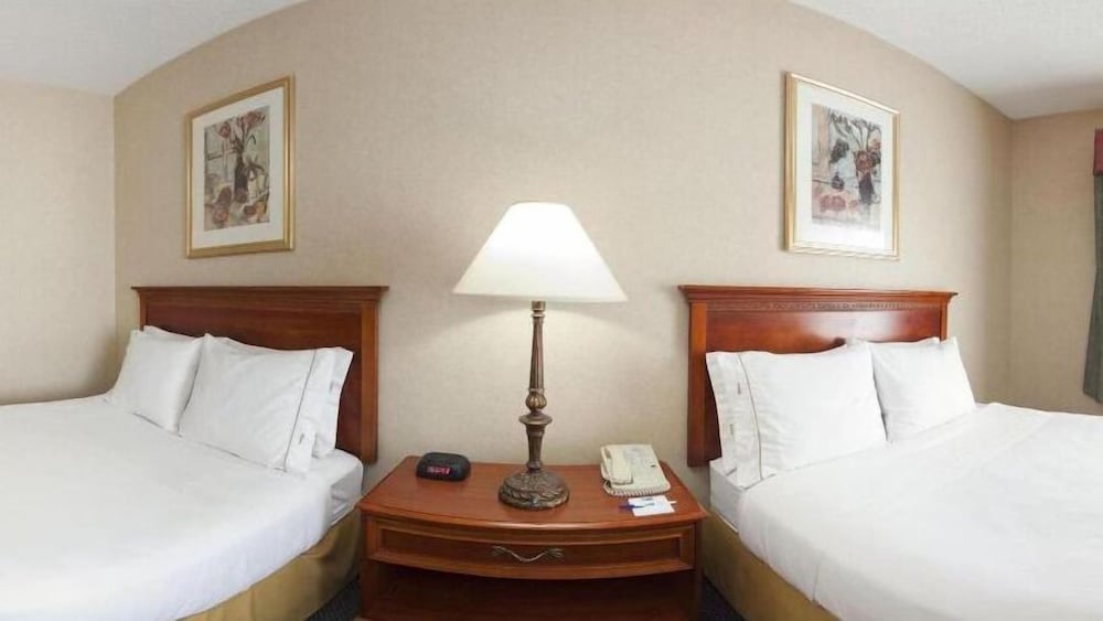 Holiday Inn Express Hotel & Suites Woodhaven by IHG - photo 10