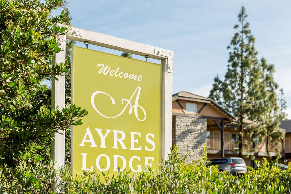 Ayres Lodge Alpine - photo 3