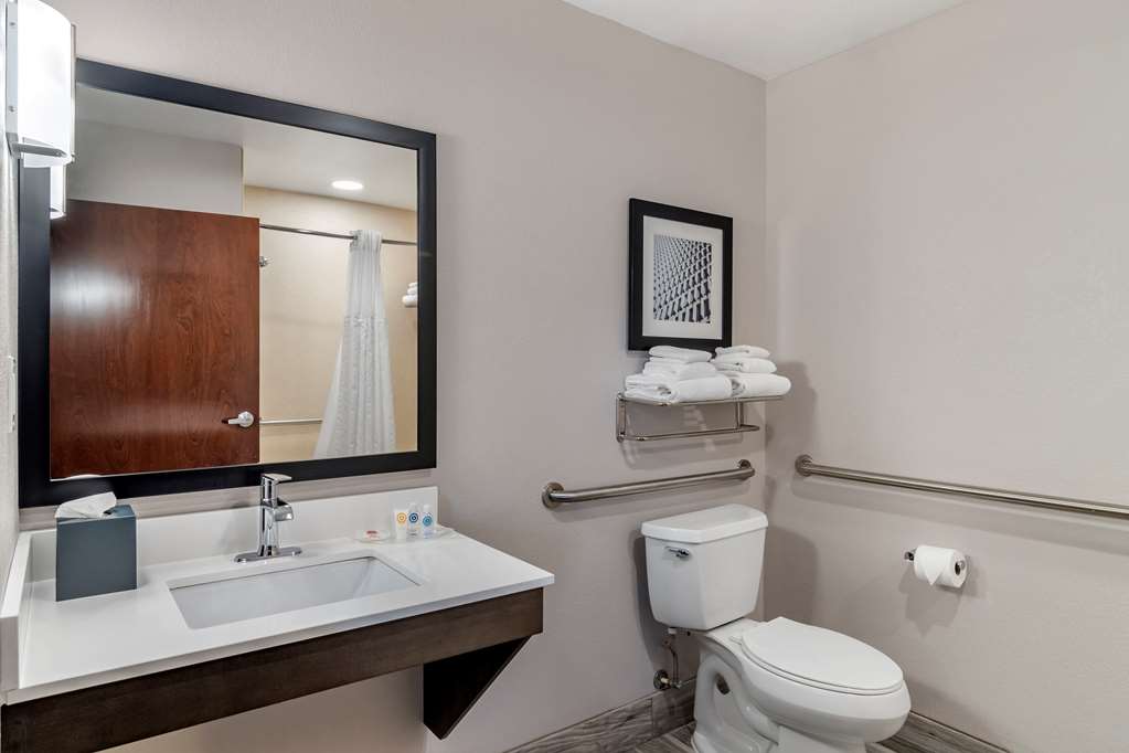 Comfort Suites McDonough Atlanta South - photo 9