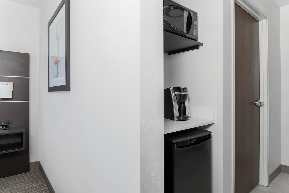 Holiday Inn Express & Suites Chicago O'Hare Airport by IHG - photo 17