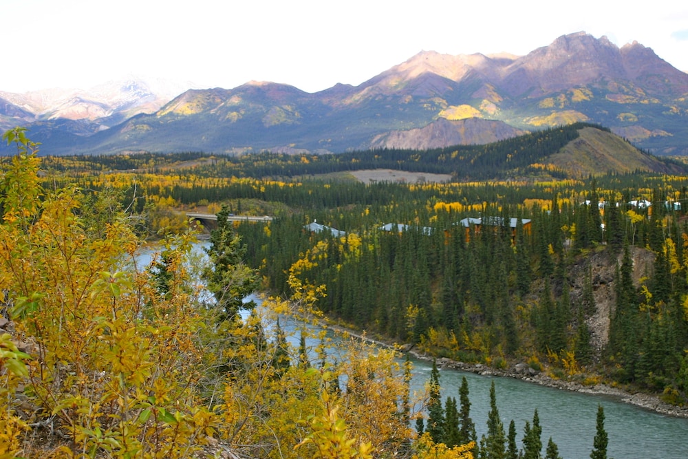 Denali Grizzly Bear Resort - photo 24
