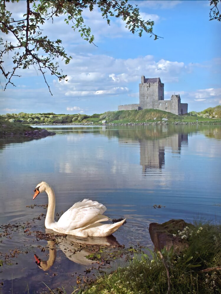 Merriman Hotel in Gaillimh, Republic of Ireland