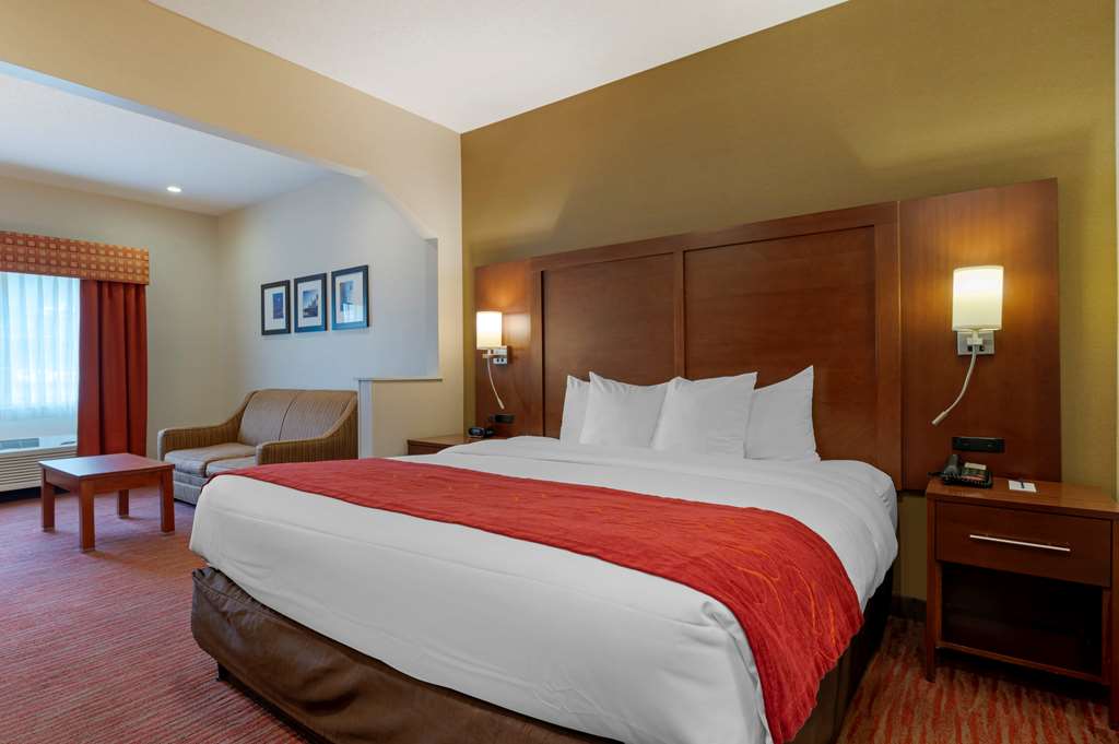 Comfort Suites Columbus Expo Center - photo 9