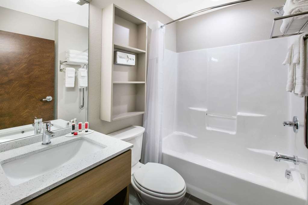 Microtel Inn & Suites by Wyndham Lubbock - photo 8