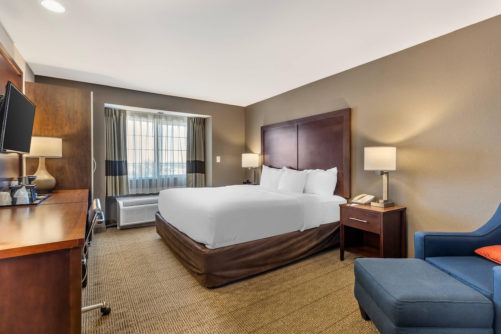 Comfort Inn & Suites Aztec Farmington Area - photo 10