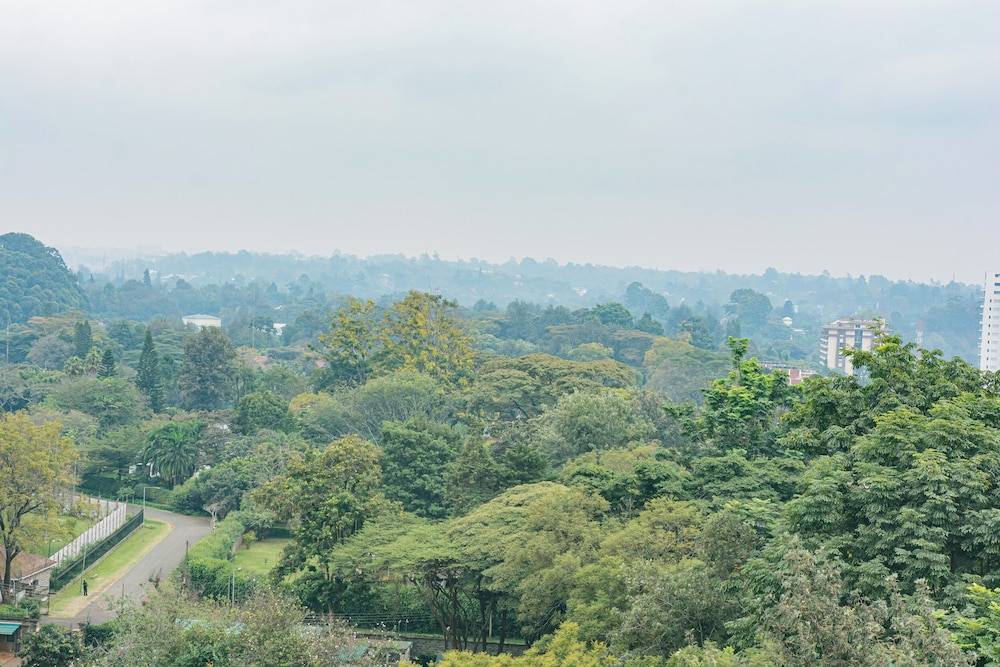City view from property