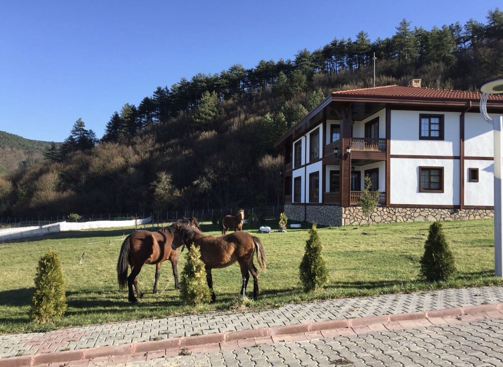 Mengen Ruya Ciftligi Hotel - carbon neutral hotel in Mengen