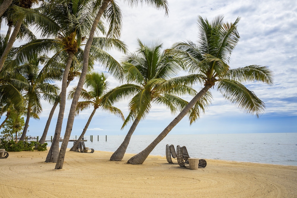 Amara Cay Resort - photo 115