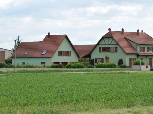 Gîte lumineux et calme avec terrasse barbecue et parking à 5 km de Colmar FR 1 744 32 — hotel in Houssen