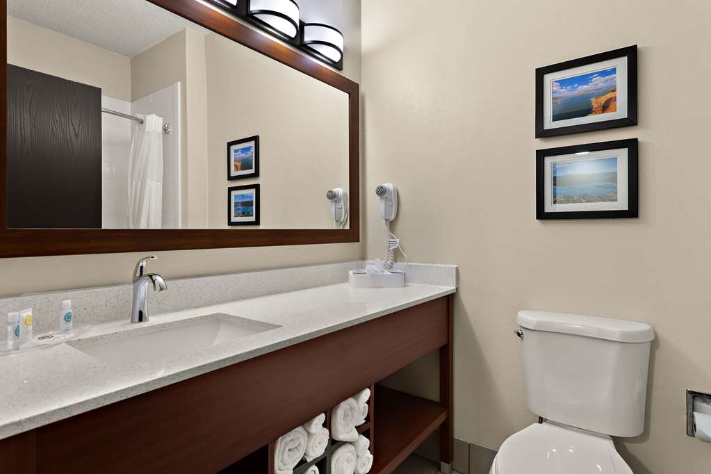 Comfort Suites University Las Cruces - photo 31